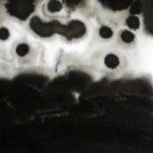Détail