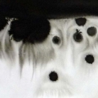 Détail